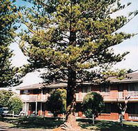Eastern Beach Holiday Units - Australian Destinations
