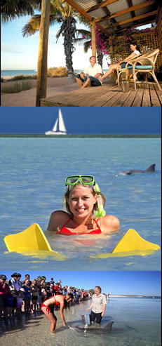 Monkey Mia Dolphin Resort - Australian Destinations 0
