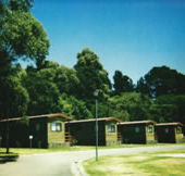 Katoomba Falls Caravan Park - Australian Destinations