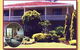 Whitfords By-the-sea Bed And Breakfast And Cottages - thumb 0