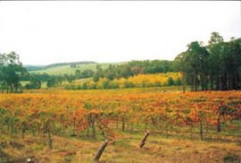 Byramgou Park - Australian Destinations 0