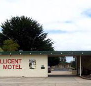Millicent Motel - Australian Destinations