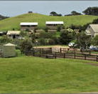 Ace Hi Riding Ranch - Australian Destinations