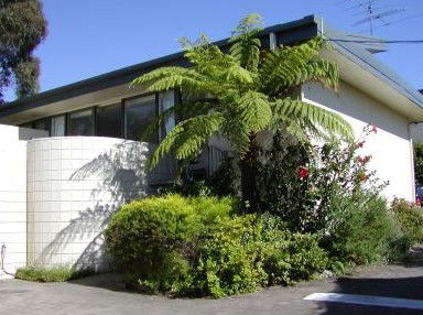 Penguin Mews - Australian Destinations 3