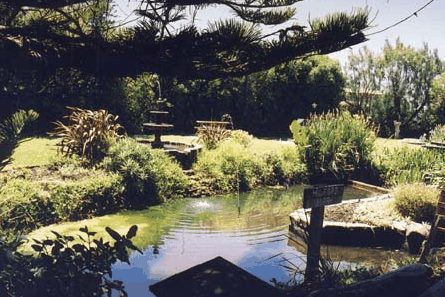 Bayside Gardens - Australian Destinations