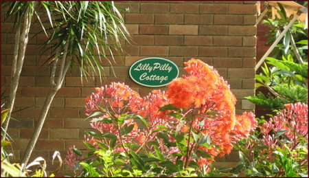 Lillypilly - Australian Destinations 0