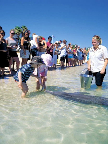 Monkey Mia Dolphin Resort - Australian Destinations 1