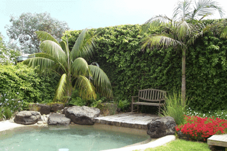 The Tropicana Motor Inn - Australian Destinations 2