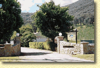 Willow Dene - Australian Destinations 1