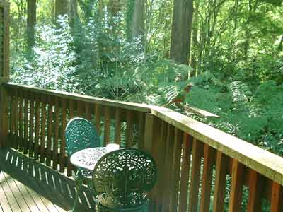 Belle Le Vie (Luxury B&B) - Australian Destinations 4