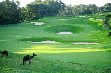 Joondalup Resort - Australian Destinations 1