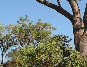 Lakeview Apartments Kununurra - Australian Destinations 3