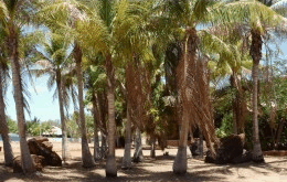 King Sound Resort Hotel - thumb 0