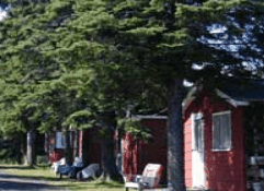 The Pines Resort - Australian Destinations 3