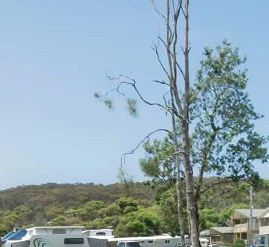 Merry Beach Caravan Park - Australian Destinations 2