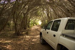Nampara Cabins - Australian Destinations 1