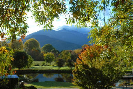 Dreamers Spa Resort - Australian Destinations 4