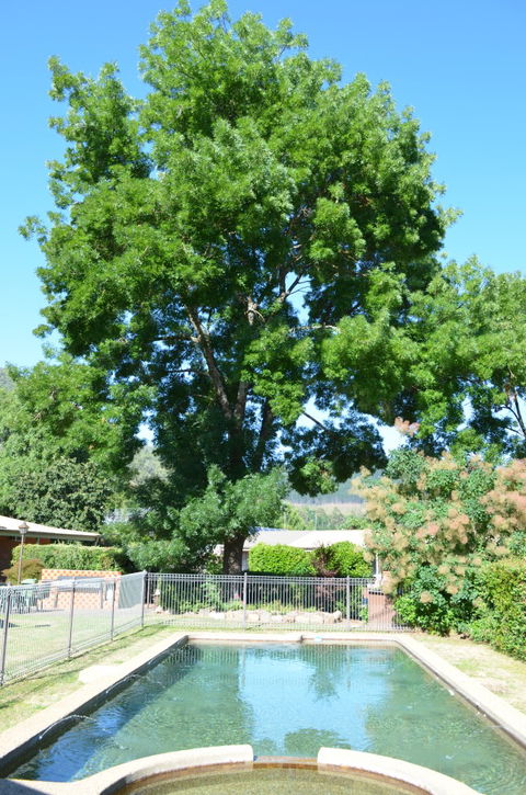 Bright Colonial Inn Motel - Australian Destinations 4