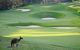 Joondalup Resort - thumb 9