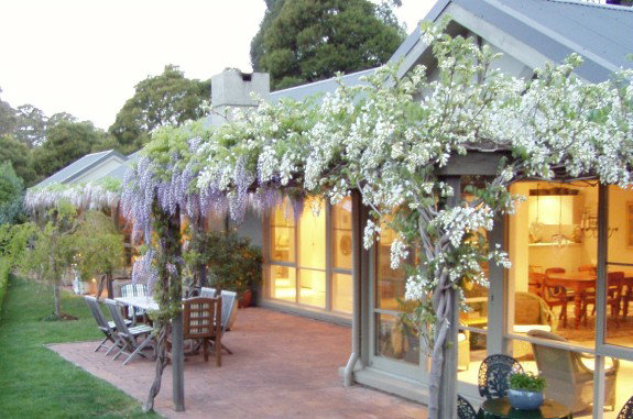 Mount Tomah NSW Australian Destinations