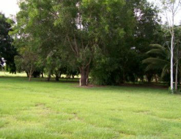 Daly River Mango Farm - Australian Destinations 1