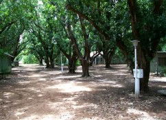 Daly River Mango Farm - Australian Destinations 4