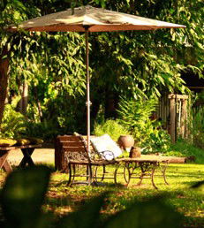 Rum Jungle Bungalows - Australian Destinations 4