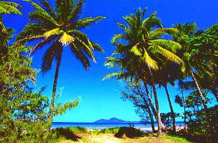 Mission Beach Rainforest Motel - Australian Destinations 1