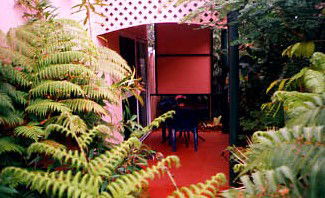 Mission Beach Rainforest Motel - Australian Destinations 4
