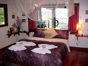 Daintree Cloud 9 - Australian Destinations 0