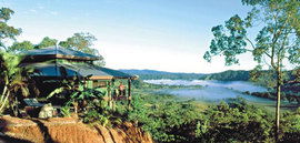 Daintree Cloud 9 - Australian Destinations 1