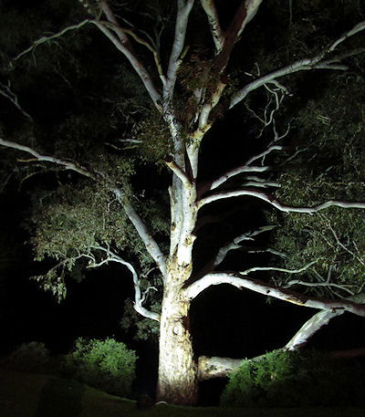 Tally Ho Lodge - Australian Destinations 3