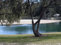 Ocean View Apartments - Australian Destinations 3