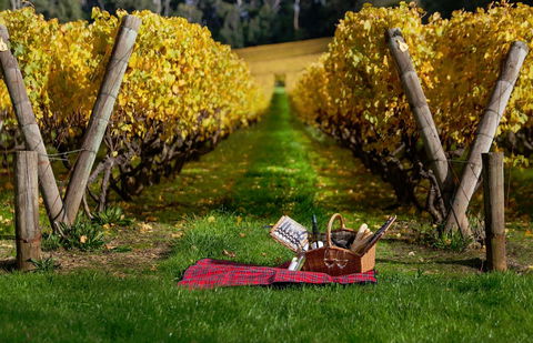Lindenderry At Red Hill - Australian Destinations 5