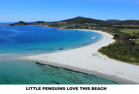 Diamond Island Resort - Australian Destinations 5