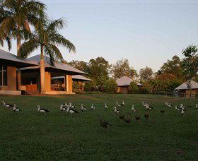 Feathers Sanctuary - Australian Destinations 0