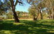 Jacobs Creek Retreat At Moorooroo Park - thumb 0