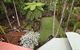 Abodes About Wategoes - thumb 4