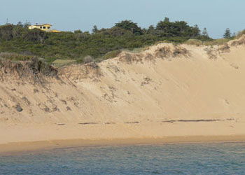 Ark Bed And Breakfast - Australian Destinations 1