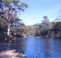 Douglas River Cabin - Australian Destinations