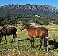 Hurlfield Farm Cottage - Australian Destinations