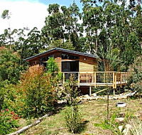 Southern Forest Accommodation - Australian Destinations