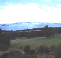 Waterview Gardens