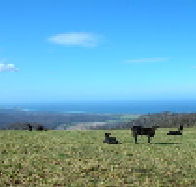 St Marys Seaview Farm - Australian Destinations