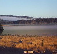 Fonthill - Australian Destinations