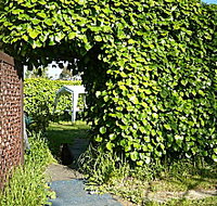 Kirra Guest House - Australian Destinations