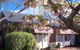 Kurrajong House - thumb 0