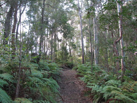 Maleny Country Cottages - Australian Destinations 1