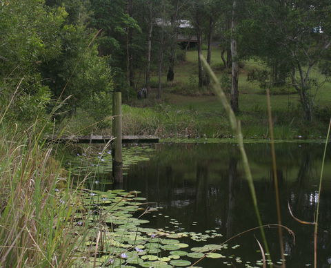 Maleny Country Cottages - Australian Destinations 4