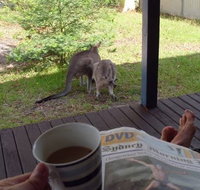 Bush and Bay Cottage - Australian Destinations